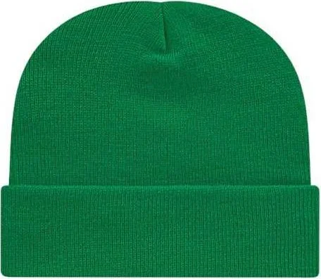 Cap America TKN24 USA-Made 12" Cuffed Beanie - True Kelly Green