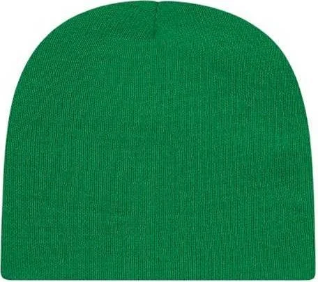 Cap America TKN28 USA-Made 8 12" Beanie - True Kelly Green