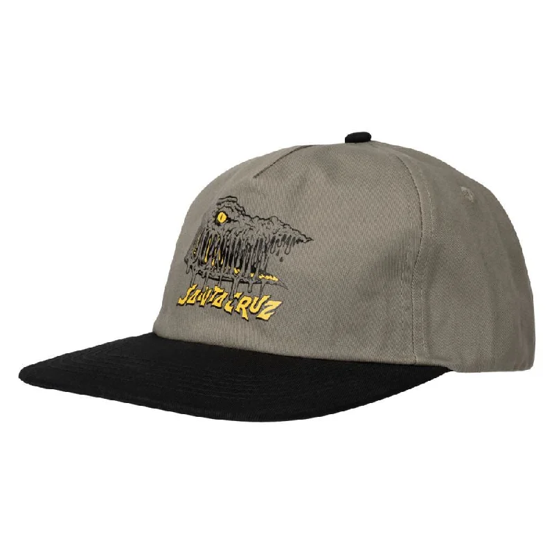 Santa Cruz Cap Braun Fever Dream Stone Grey / Black - O/S